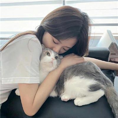 古鲁家族：新石代